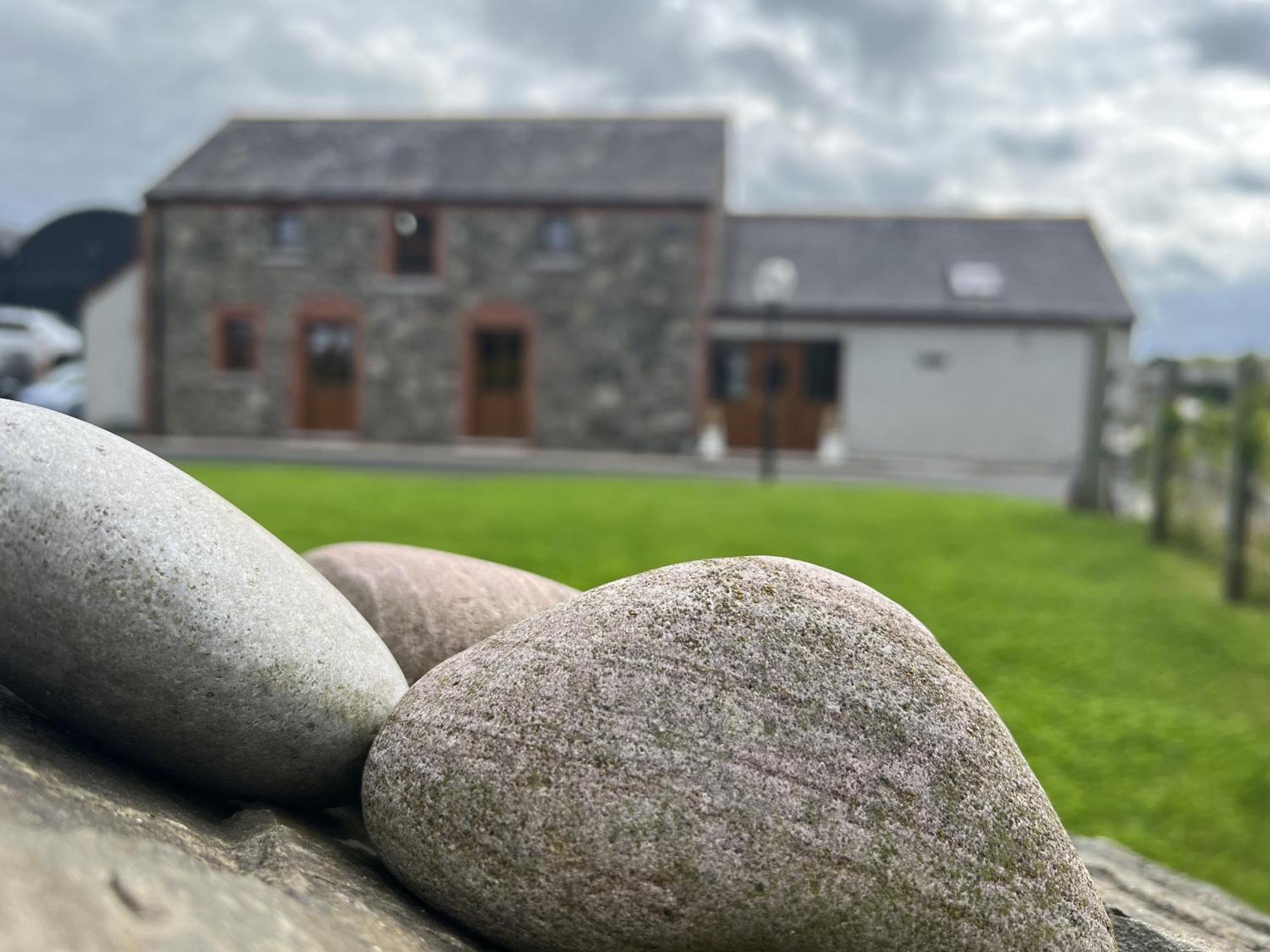 Avoca Lodge Lisburn Zewnętrze zdjęcie